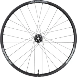Spank Wing 22 Front Wheel - Clincher - 6-Bolt - 12x100/QR - Black