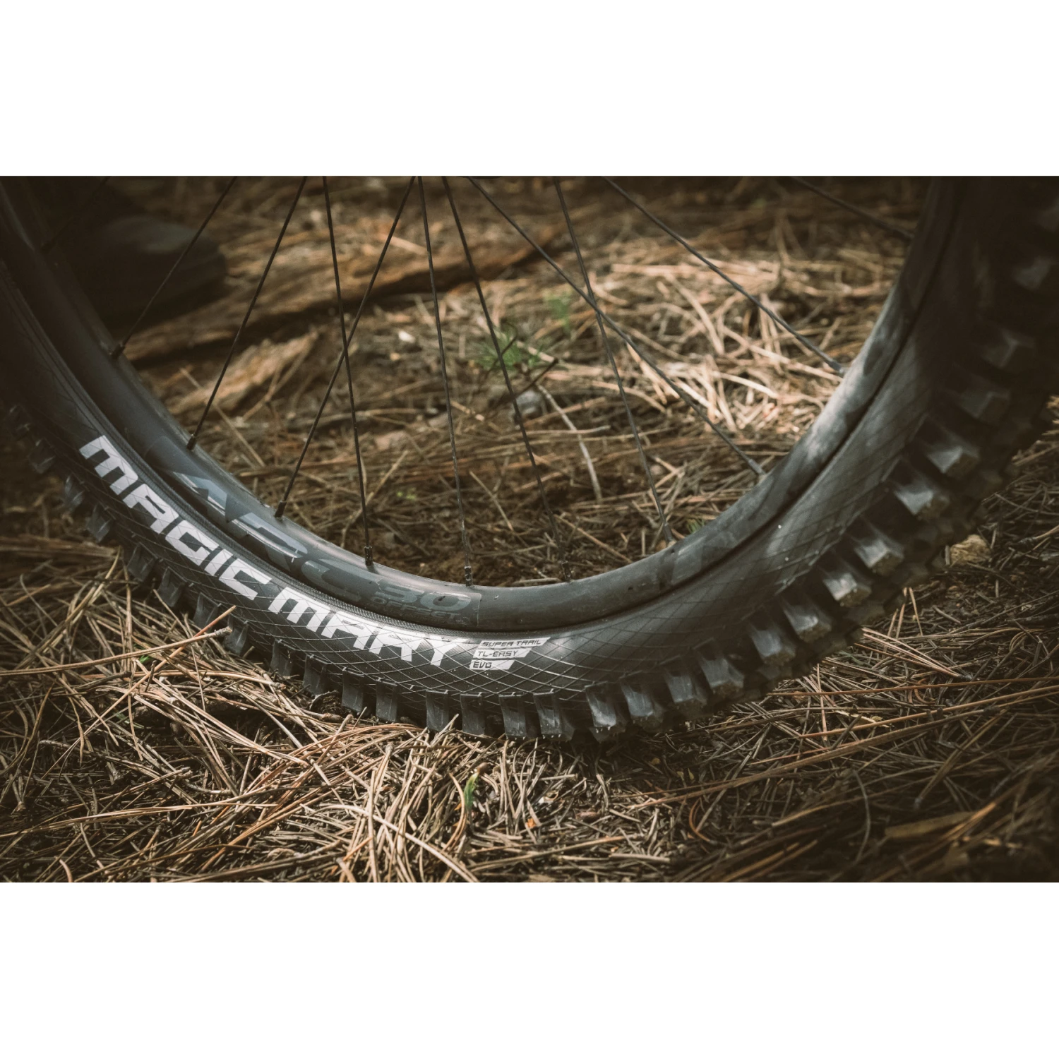 Schwalbe Magic Mary Vouwband - Evolution | Addix Soft | Super Gravity | TLEasy - E-25 - 29x2.60" | Black - Image 5