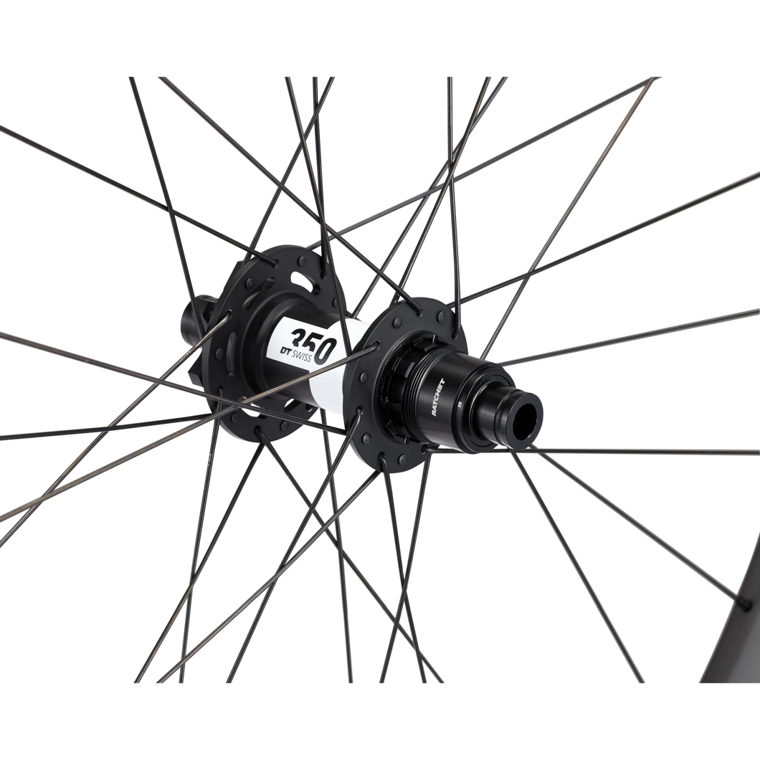 Specialized Roval Traverse HD 350 Carbon Achterwiel - 29" | 6-Bolt | 12x148mm - XD | Carbon/Black - Image 2