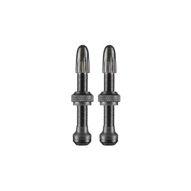 Schwalbe Tubeless Valves (1 Pair) - 40/60/100mm - Image 2