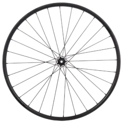 Tune Schwarzbrenner 20 Disc Skyline Carbon Front Wheel - Princess CL Ceramic - Clincher - Centerlock - 12x100mm